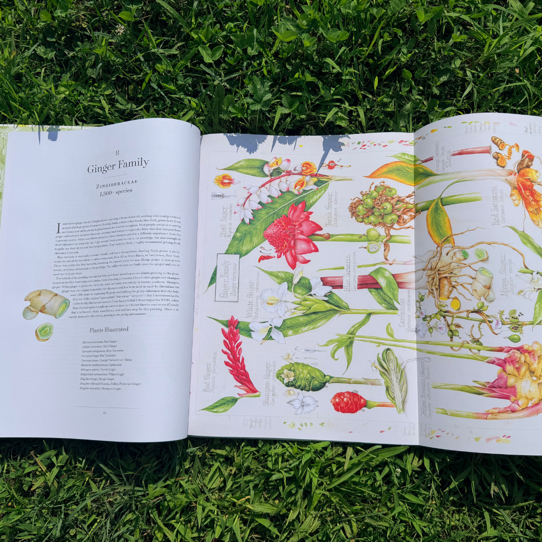 Open botanical album showcasing plant family illustrations from The Album of Plant Families by Botanical Arts Press LLC.