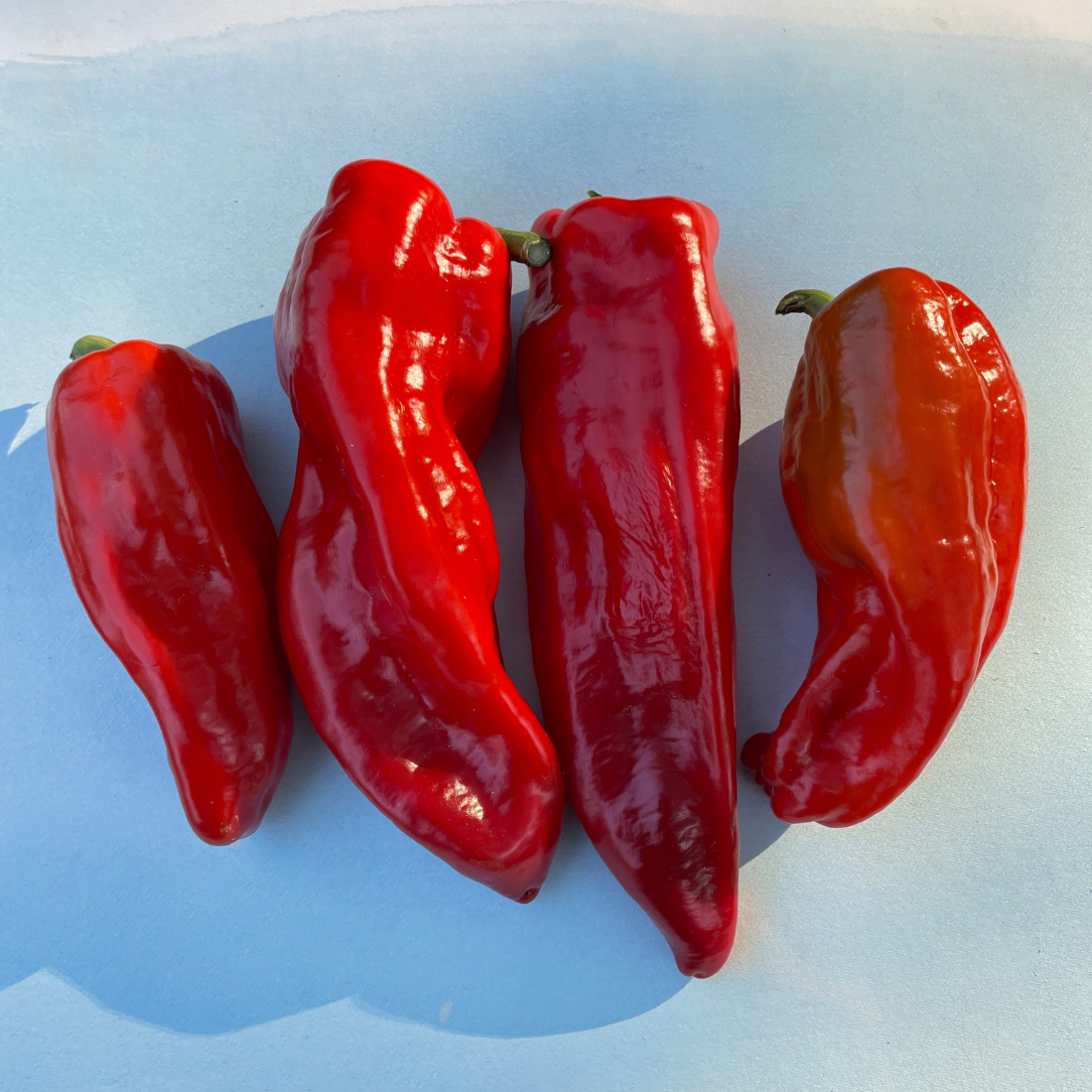 Aleppo Pepper