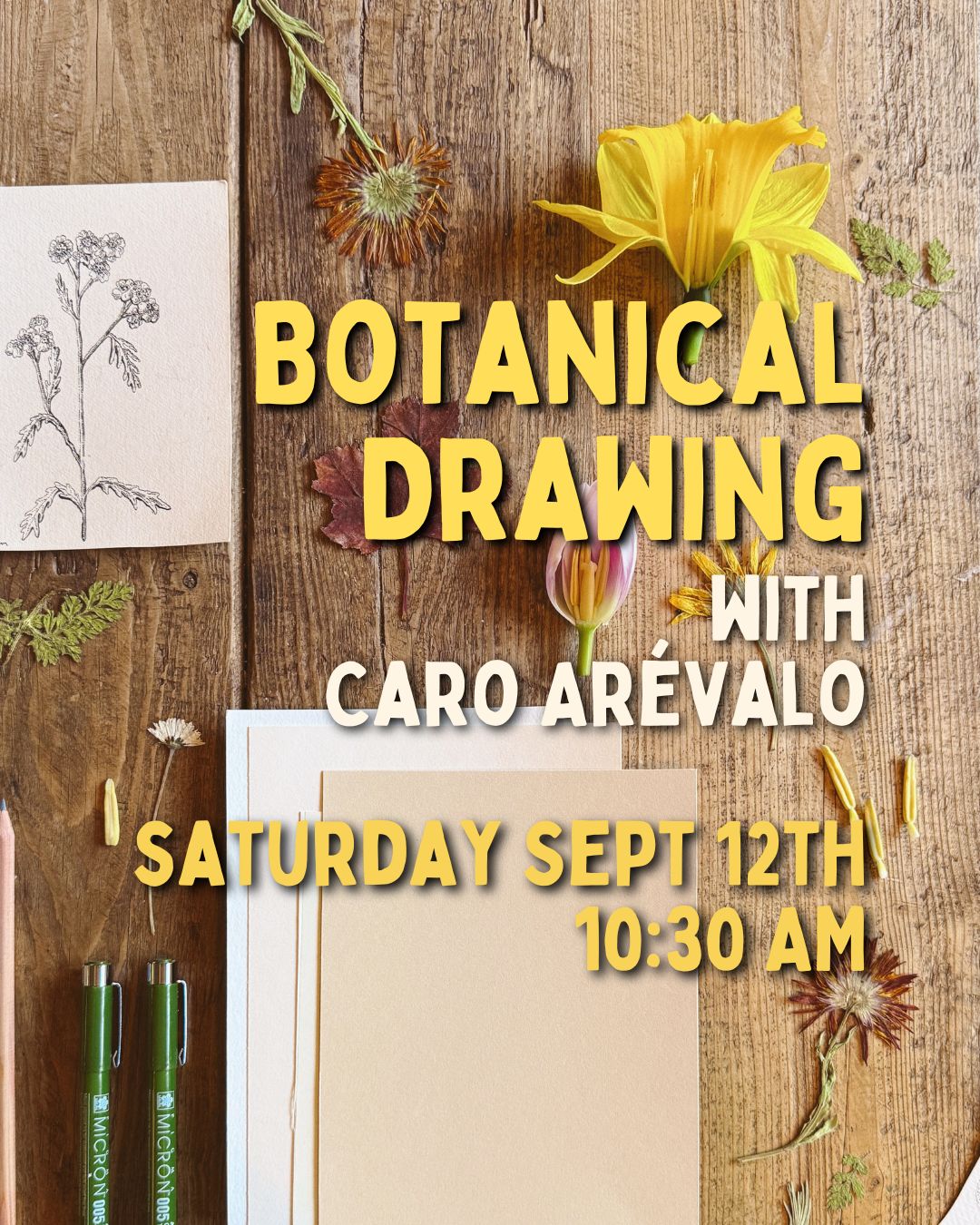 Botanical drawing event with artist Caro Arévalo scheduled from 9 to 12, 10:30 am, featuring detailed botanical illustrations.
