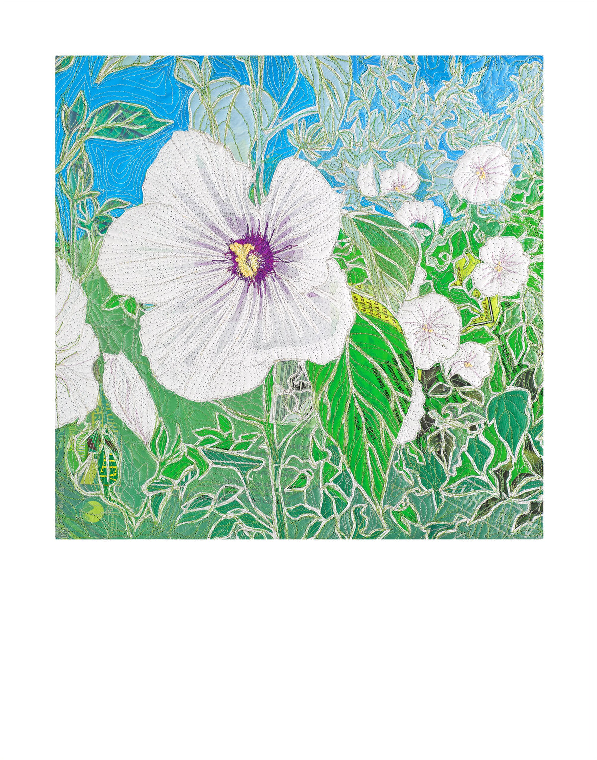 Fine art print of a hardy hibiscus flower by Hudson Valley Seed Co., signed, featuring vibrant botanical illustration.