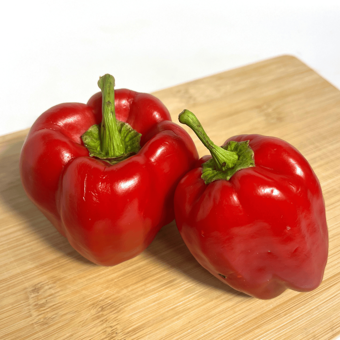 Large Keystone Giant Pepper from Hudson Valley Seed Co., green vegetable with a glossy surface and robust shape.