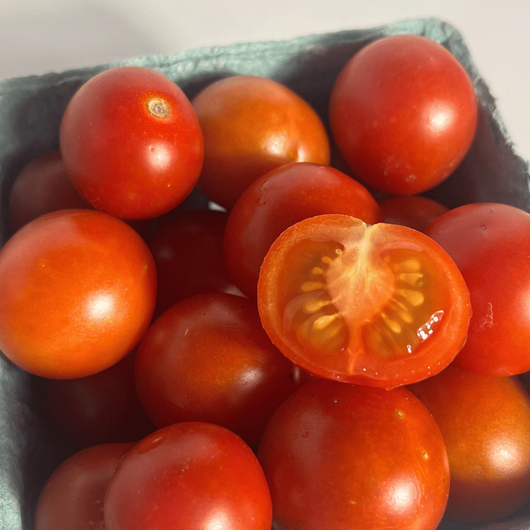 Fresh Peacevine tomato from Hudson Valley Seed Co., showcasing vibrant red color and ripened fruit on the vine.