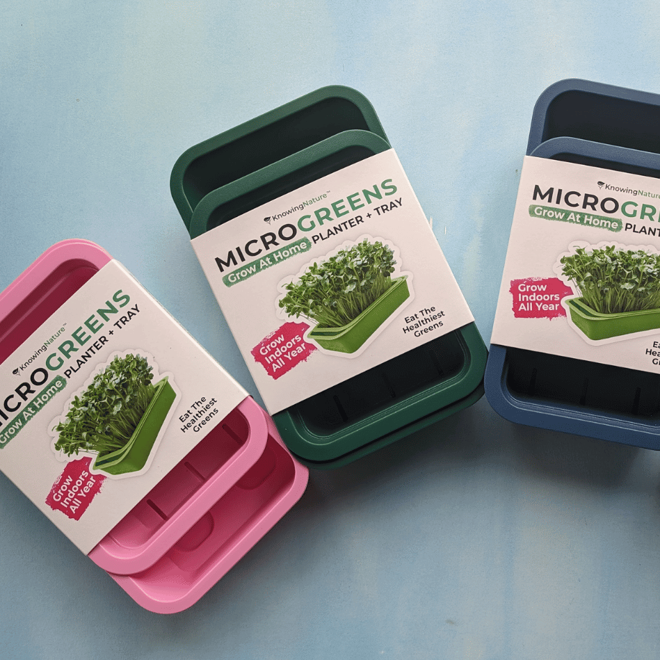 Hudson Valley Seed Co. microgreens starter kit with vegetable seeds and growing supplies for home sprouting and gardening.