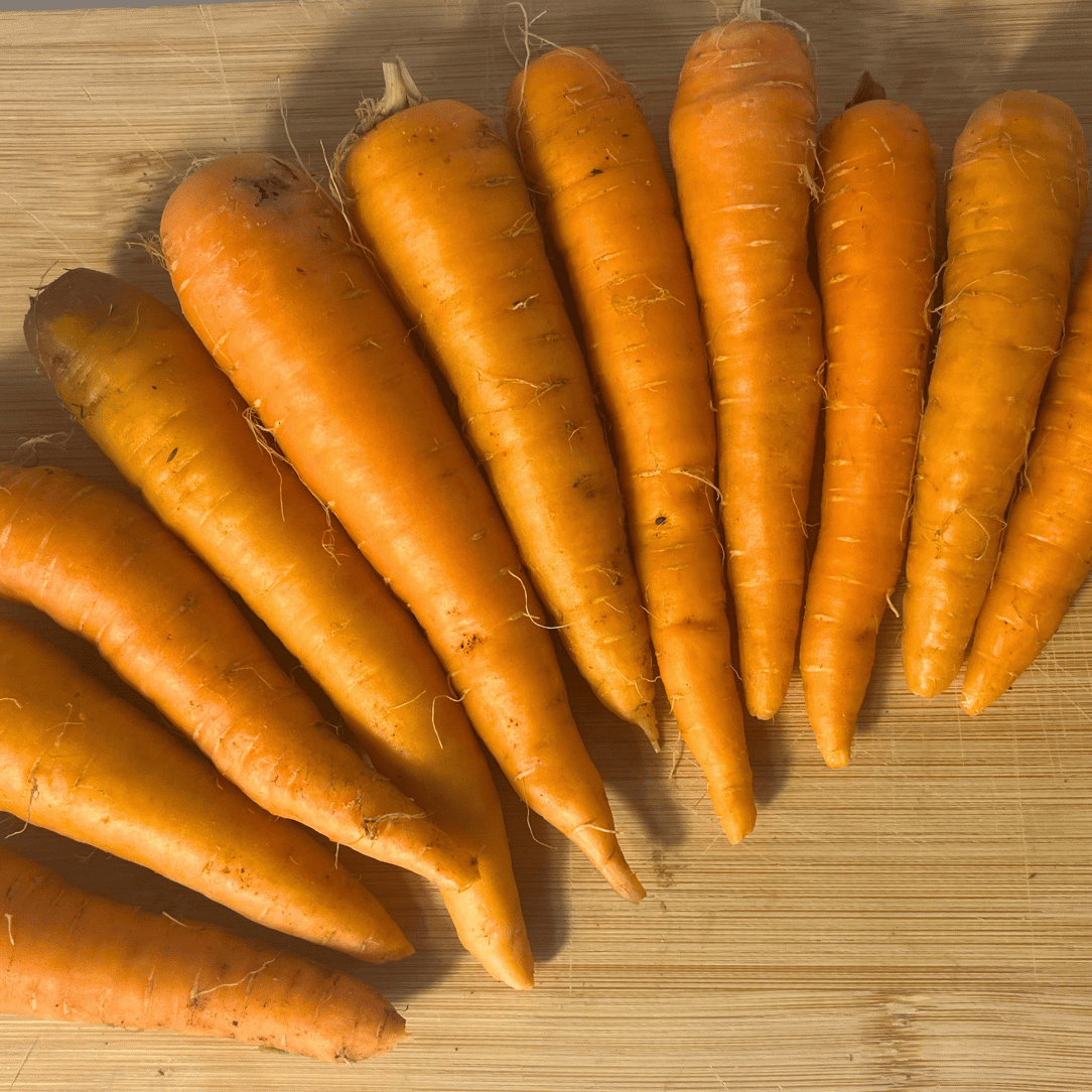 Fresh Shin Kuroda carrot from Hudson Valley Seed Co., showcasing vibrant orange color and leafy green tops.