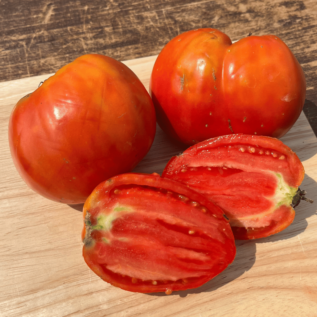 Fresh Amish Paste Tomato from Hudson Valley Seed Co., showcasing ripe, vibrant red vegetables perfect for cooking and sauces.