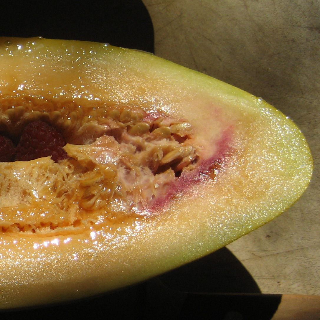 Fresh Banana Melon vegetable from Hudson Valley Seed Co., showing its yellow-green exterior and ripe interior.