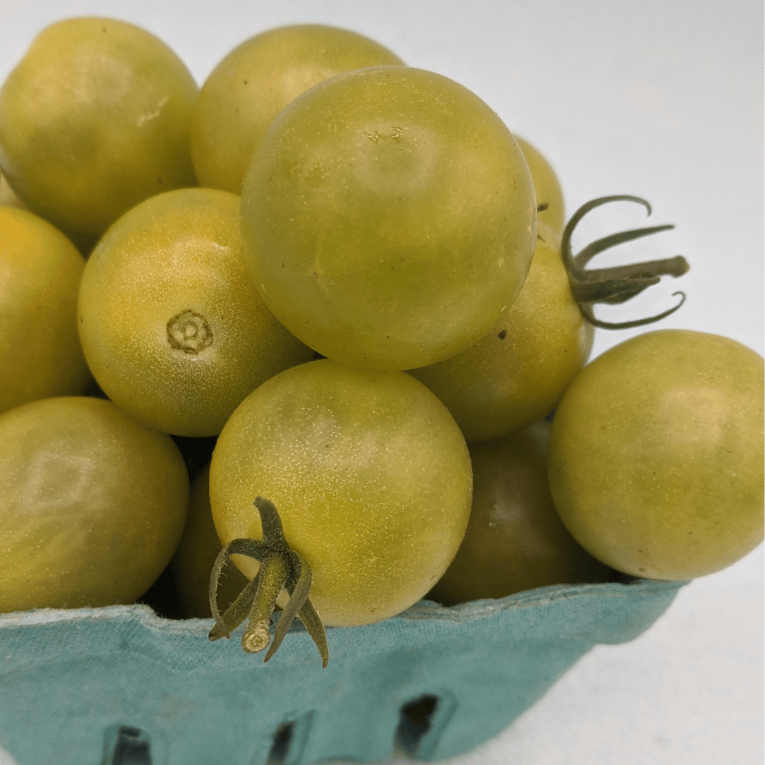 Jaded Tomato