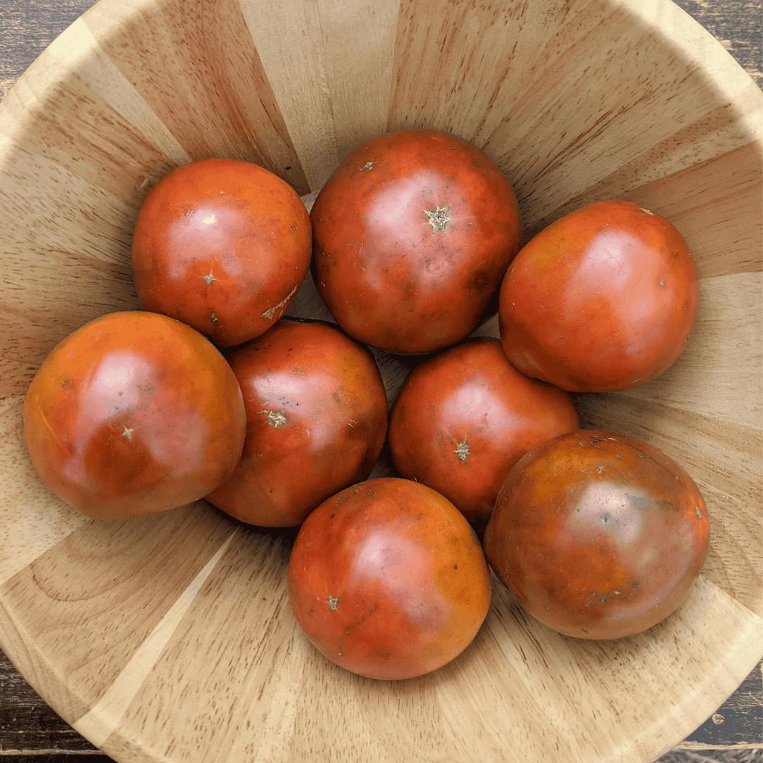 Japanese Black Trifele tomato from Hudson Valley Seed Co. featuring dark, elongated heirloom vegetables with smooth skin and rich color.
