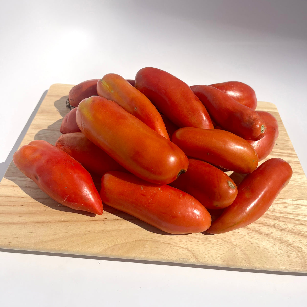 Bright red Opalka tomato from Hudson Valley Seed Co. displayed on a vine, showcasing its elongated shape and glossy skin.