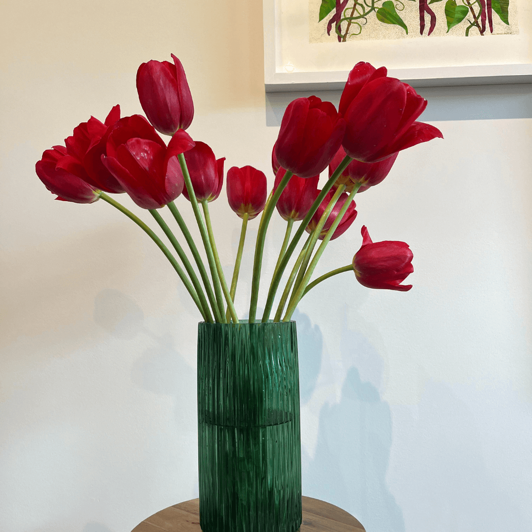 Bright red Tulip &