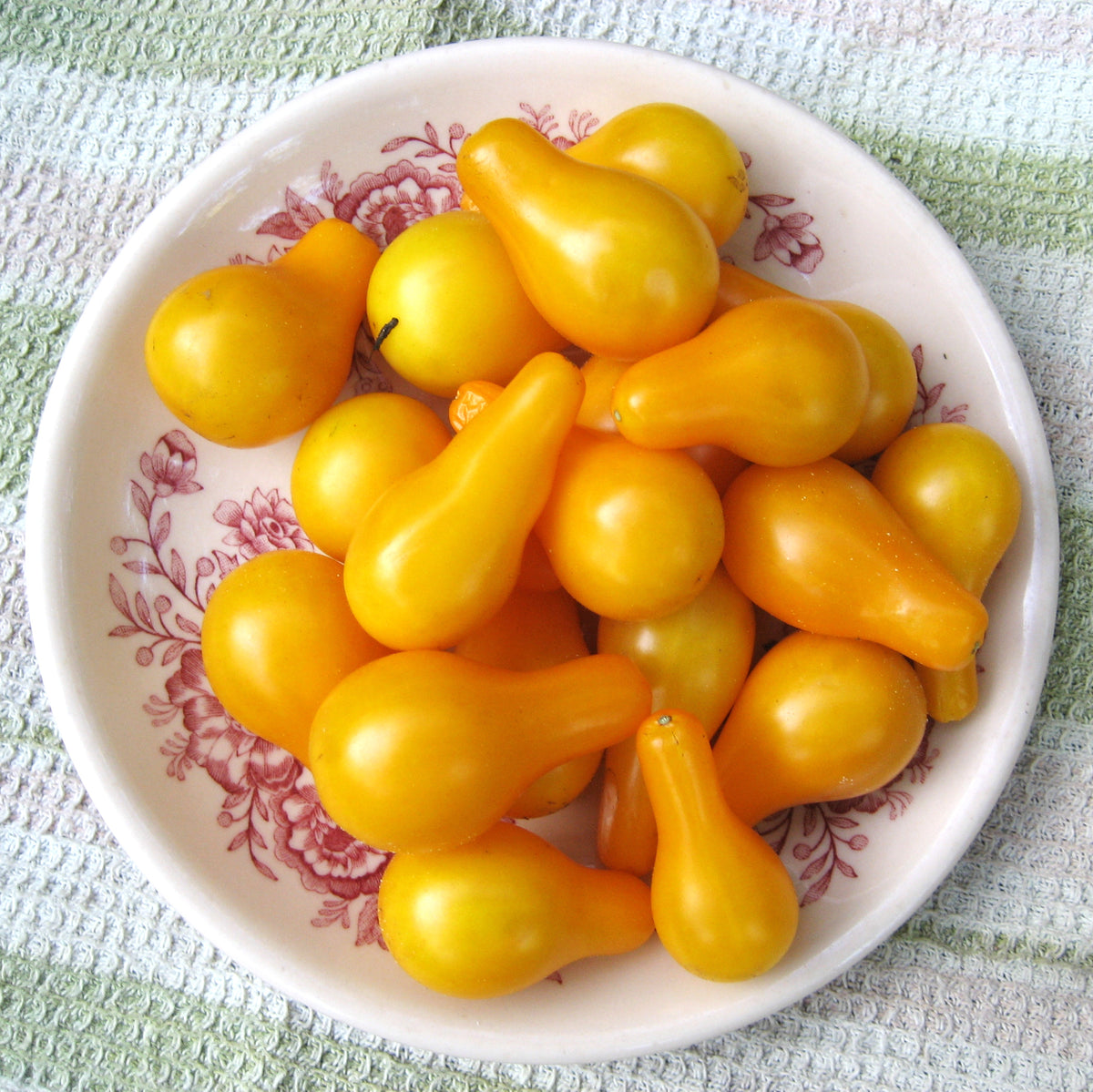 Yellow Pear Cherry Tomato from Hudson Valley Seed Co., vibrant yellow pear-shaped cherry tomatoes on the vine.
