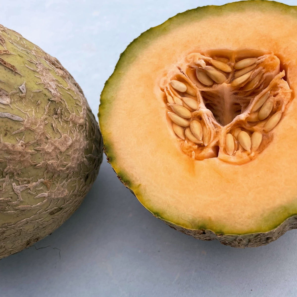 Fresh Pride of Wisconsin melon vegetable showing vibrant green flesh and smooth outer skin, fresh and ready to eat.