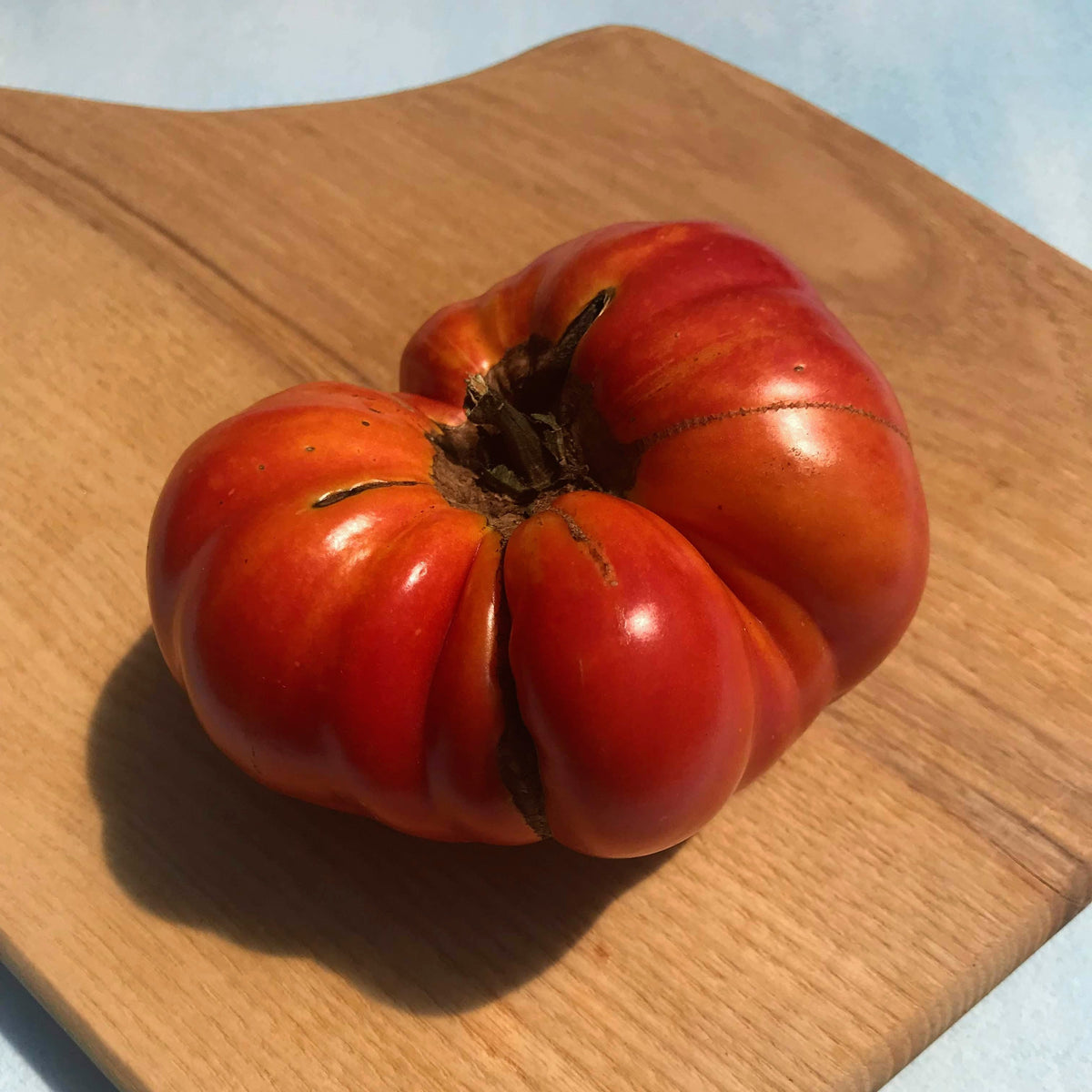Pink Brandywine tomato from Hudson Valley Seed Co., showing ripe, large pink heirloom vegetables on the vine.