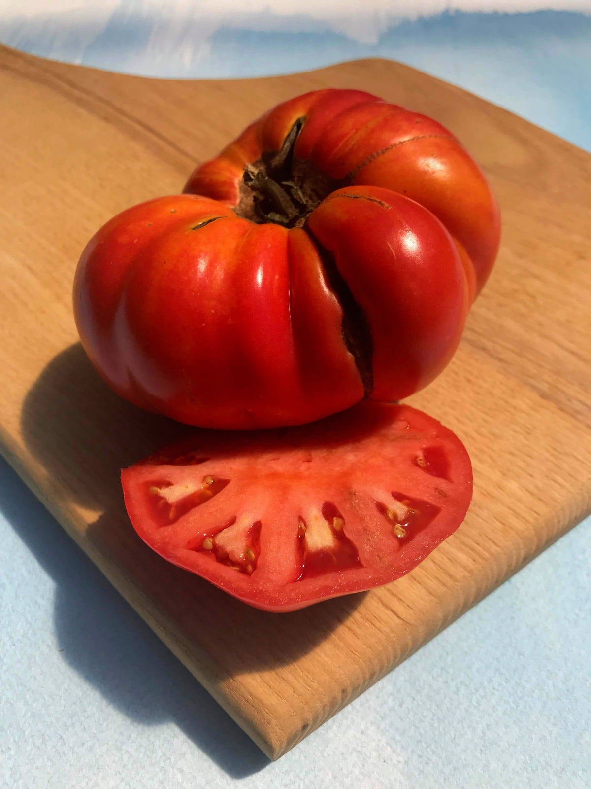 Pink Brandywine tomato from Hudson Valley Seed Co., displaying ripe, large, pink heirloom vegetable on the vine.