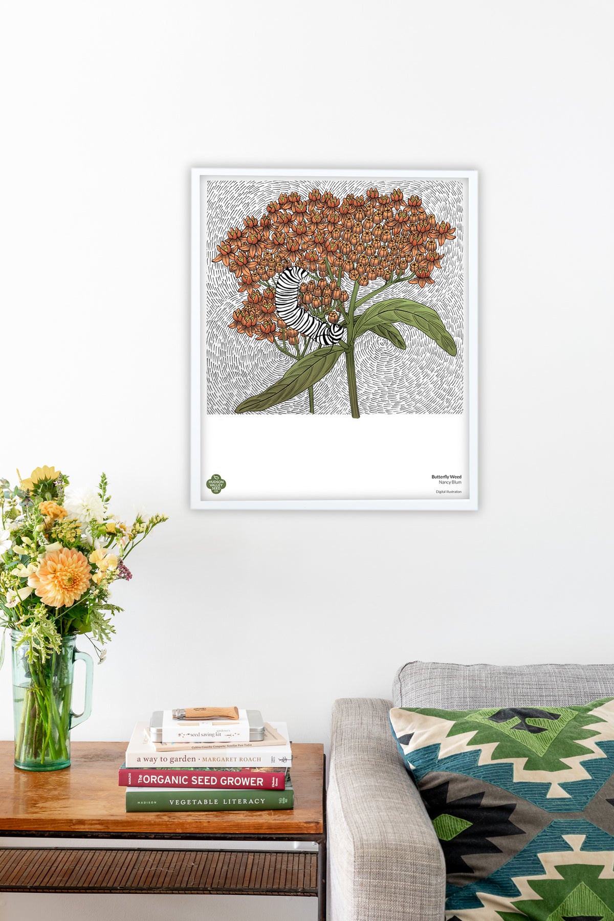 Fine art poster of butterfly weed by Hudson Valley Seed Co. showcasing vibrant butterfly weed flowers in a living room setting.