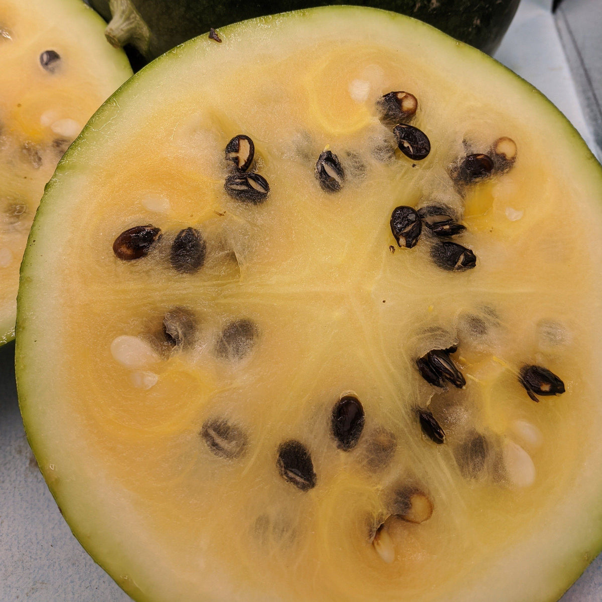 Watermelon vegetable with vibrant green rind and pink flesh, grown by Hudson Valley Seed Co., displayed at a vendor stall.