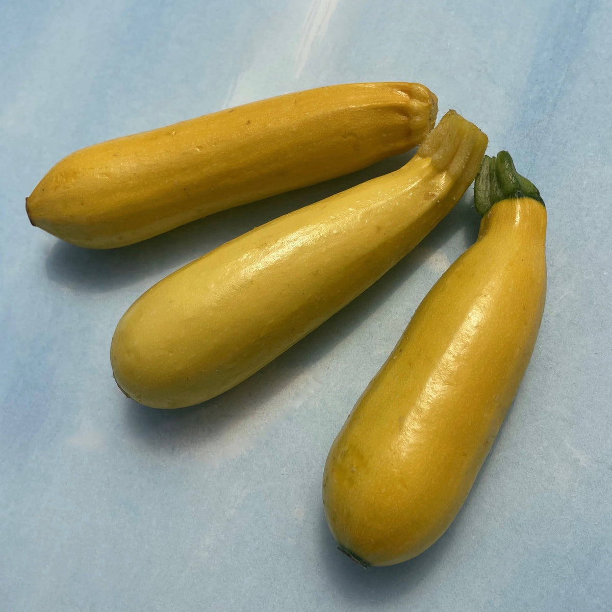 Golden zucchini vegetable displayed with vibrant yellow skin, fresh and ripe, suitable for cooking or salads.