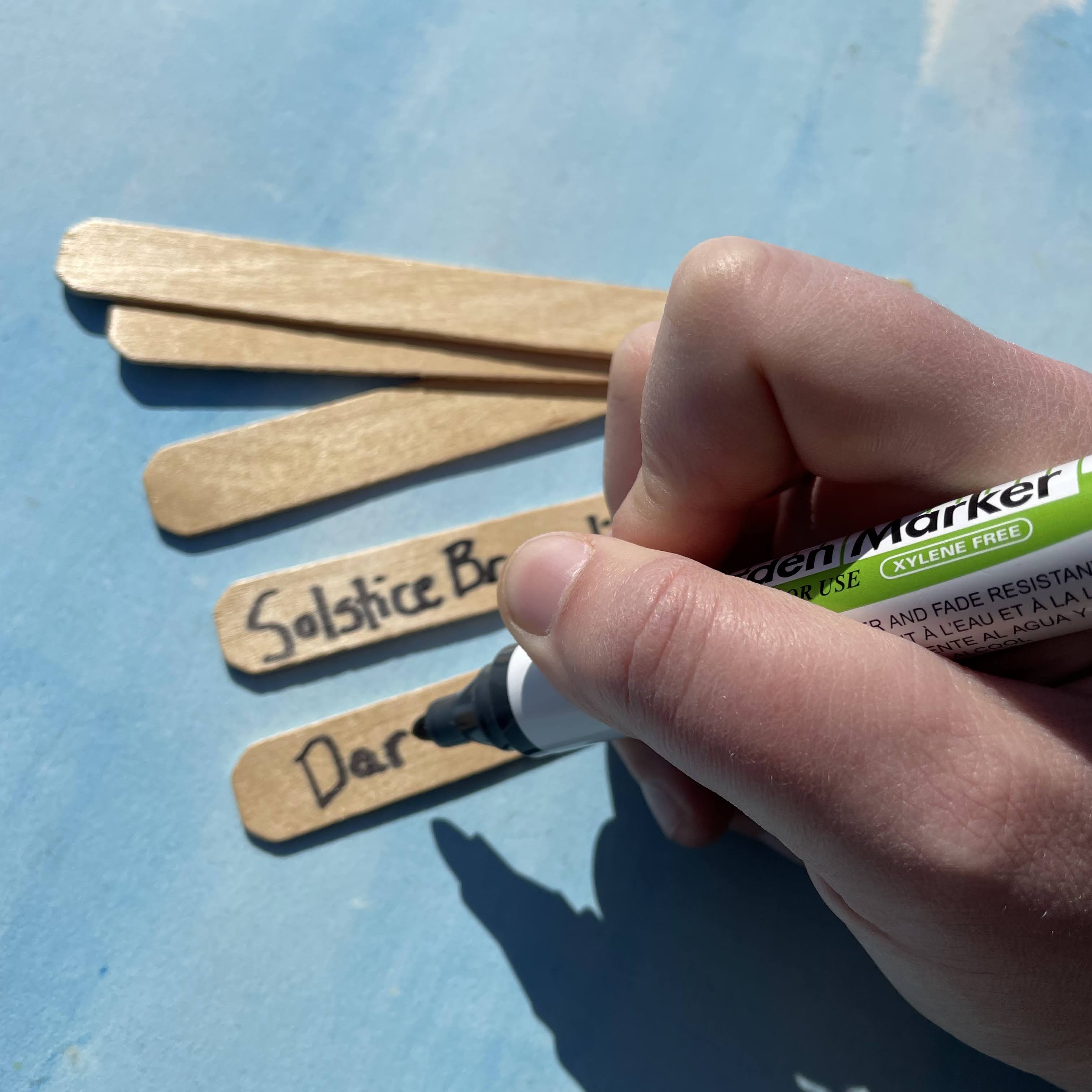Six-inch wooden plant labels for gardening, natural wood finish, ideal for marking plants and garden beds.