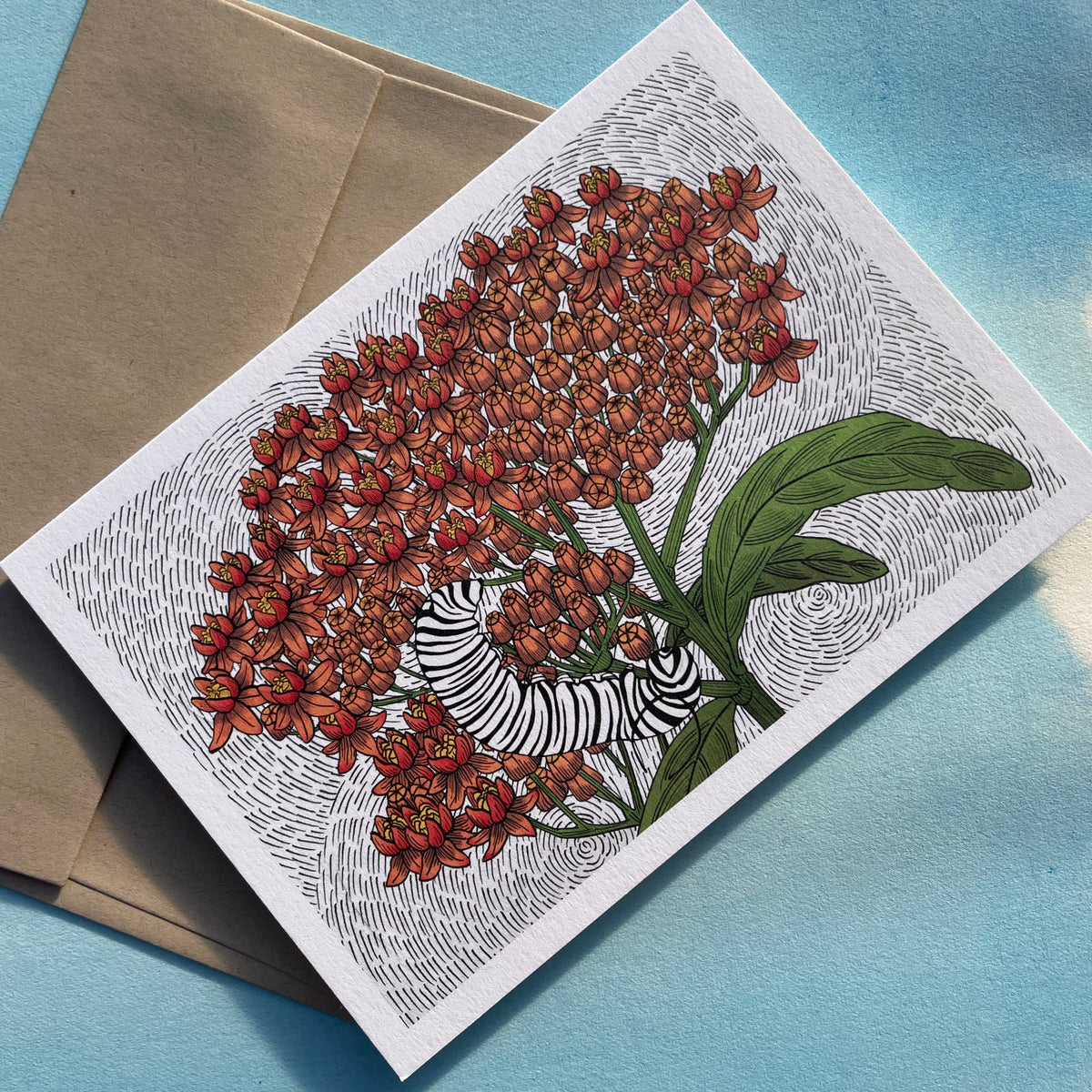 Butterfly Weed note card with matching envelope from Hudson Valley Seed Co., featuring vibrant butterfly weed illustration.