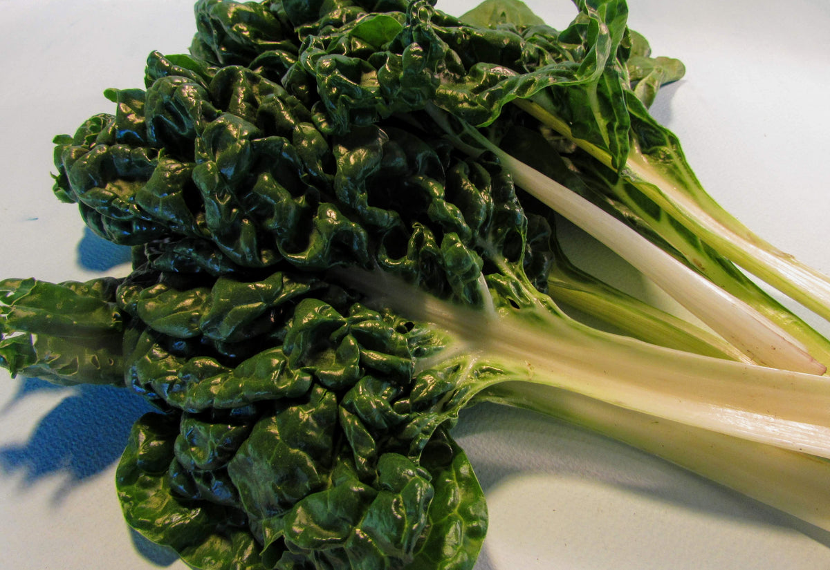 Fresh Silverado Chard vegetable from Hudson Valley Seed Co., vibrant green leaves with colorful stems, ready for harvest.