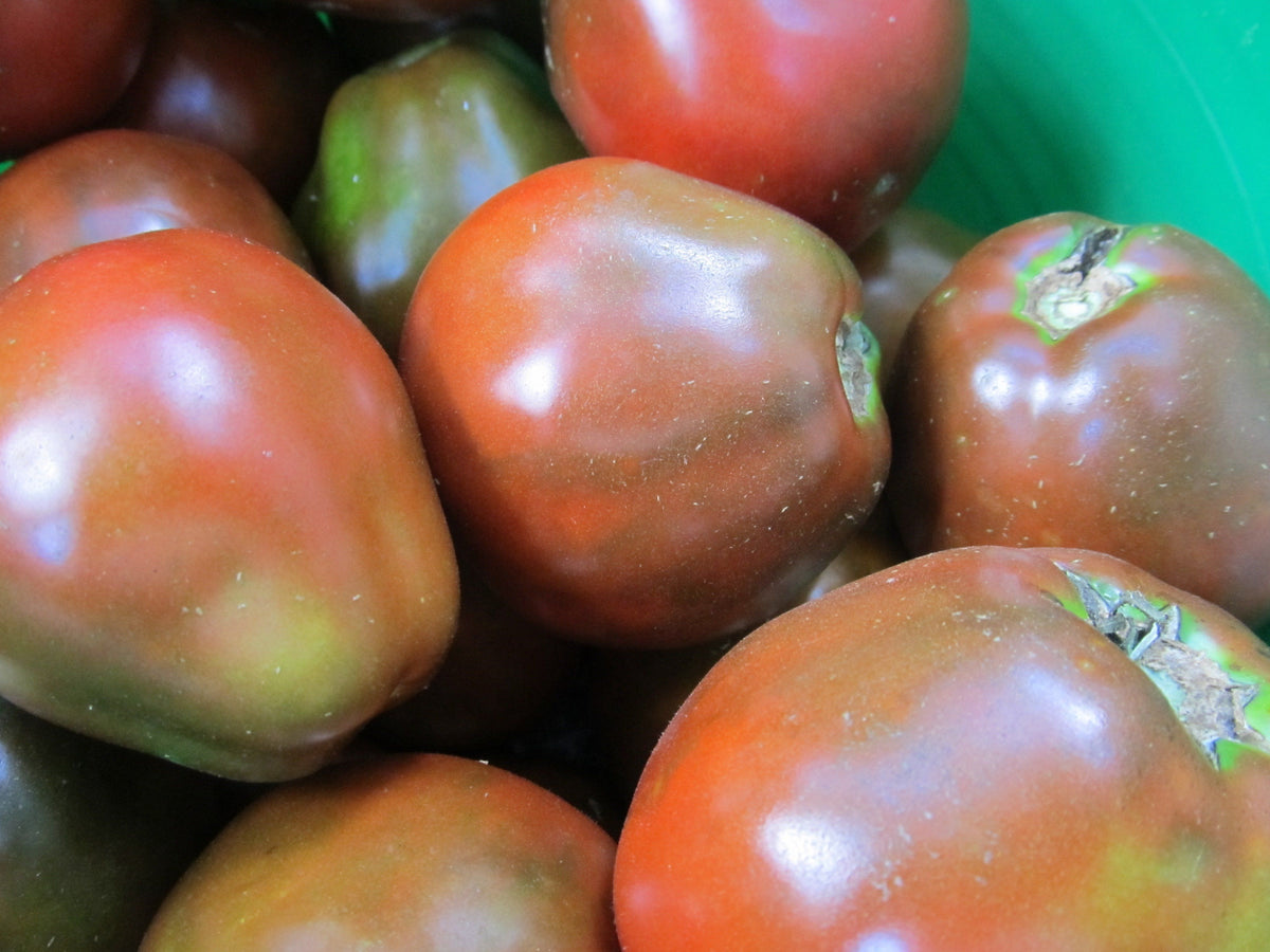 Japanese Black Trifele tomato from Hudson Valley Seed Co, showing dark purple, oval-shaped heirloom vegetables on a vendor display.