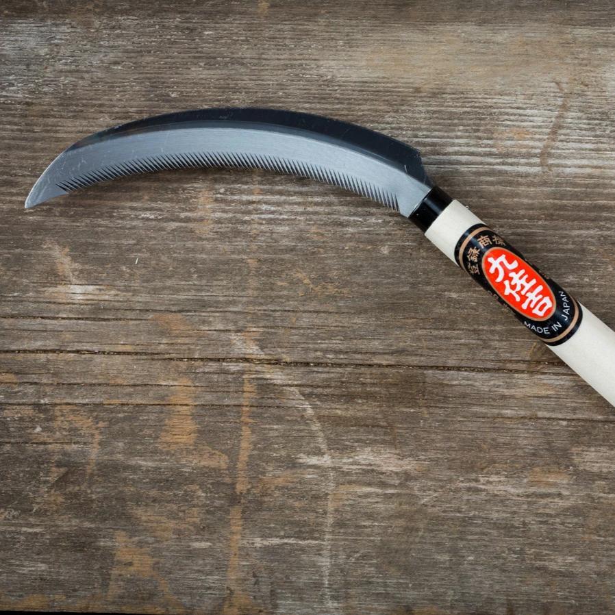 Large Kusakichi saw tooth sickle with sharp curved blade, ideal for gardening and agricultural use.