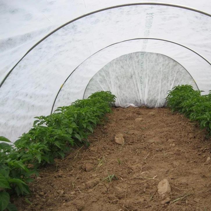 Mid-weight Dewitt row cover cut to 10-foot width, outdoor gardening tool for frost protection and crop coverage.