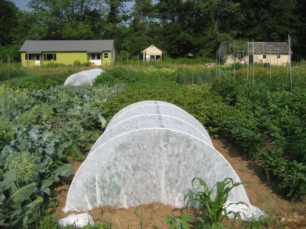 Dewitt mid-weight row cover cut to 10-foot width, used for protecting plants in gardening and farming.