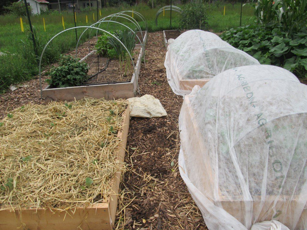 Mid-weight Dewitt row cover cut to 10-foot width, durable agricultural fabric for protecting crops and plants.