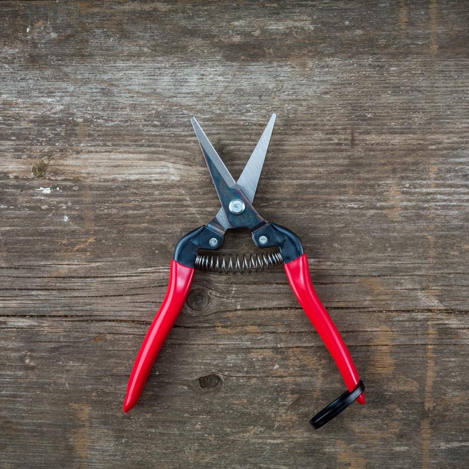ARS needle-nose pruner with long, slender blades for precise cutting of branches and stems in gardening and pruning tasks.