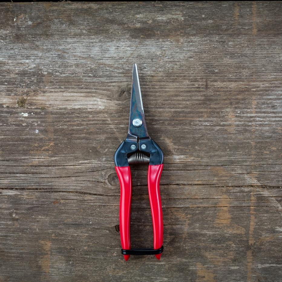 ARS needle-nose pruner with long, tapered blades for precise trimming of plants and small branches in gardening tools.