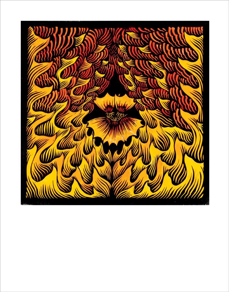Signed Phoenix Nasturtium fine art print by Hudson Valley Seed Co. featuring vibrant, detailed floral artwork on high-quality paper.