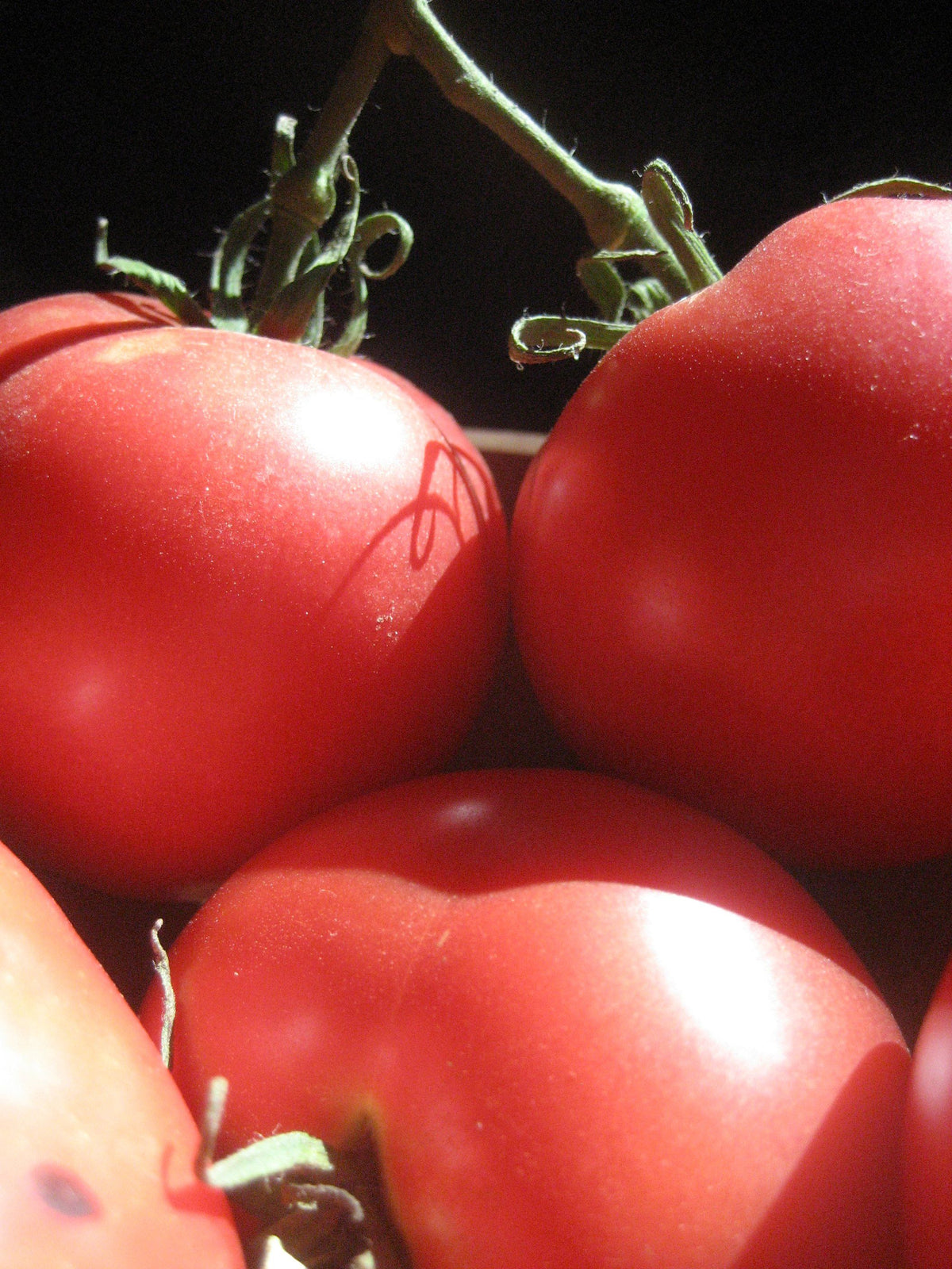 Fresh Rose de Berne tomato from Hudson Valley Seed Co., showcasing vibrant, round vegetables on a vendor stand.