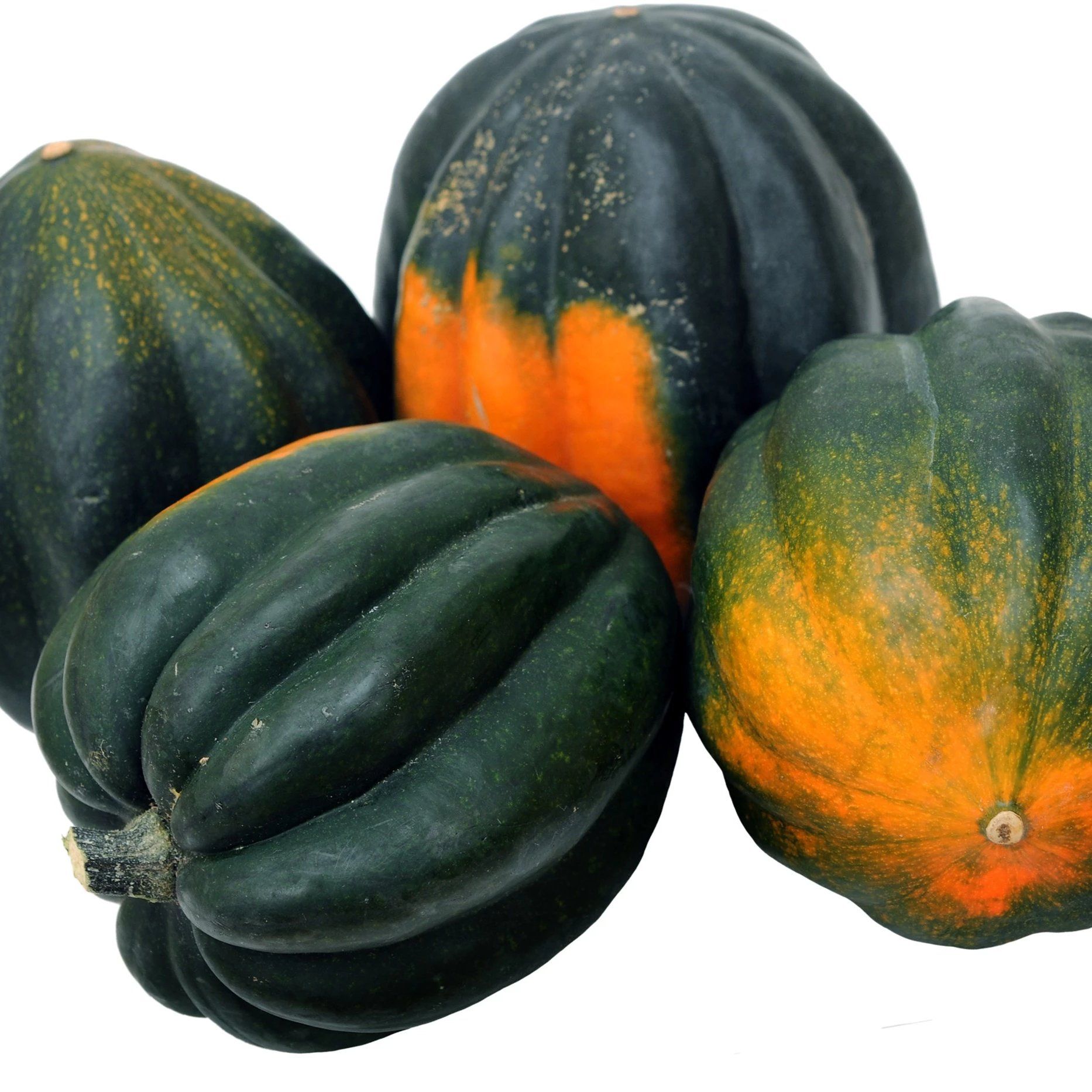 Table Queen Acorn Squash vendor-unknown