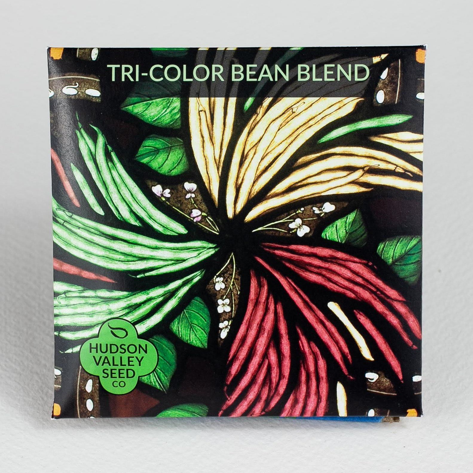 Tri-color bush bean blend from Hudson Valley Seed Co. featuring vibrant green, purple, and yellow beans on a garden background.