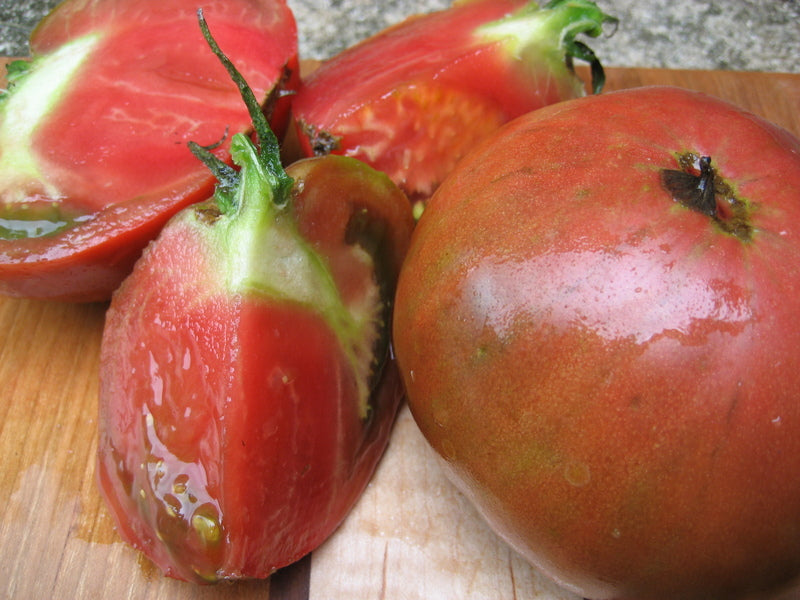 Healthy Cherokee Purple tomato seedlings from Hudson Valley Seed Co. with vibrant green leaves and sturdy stems.