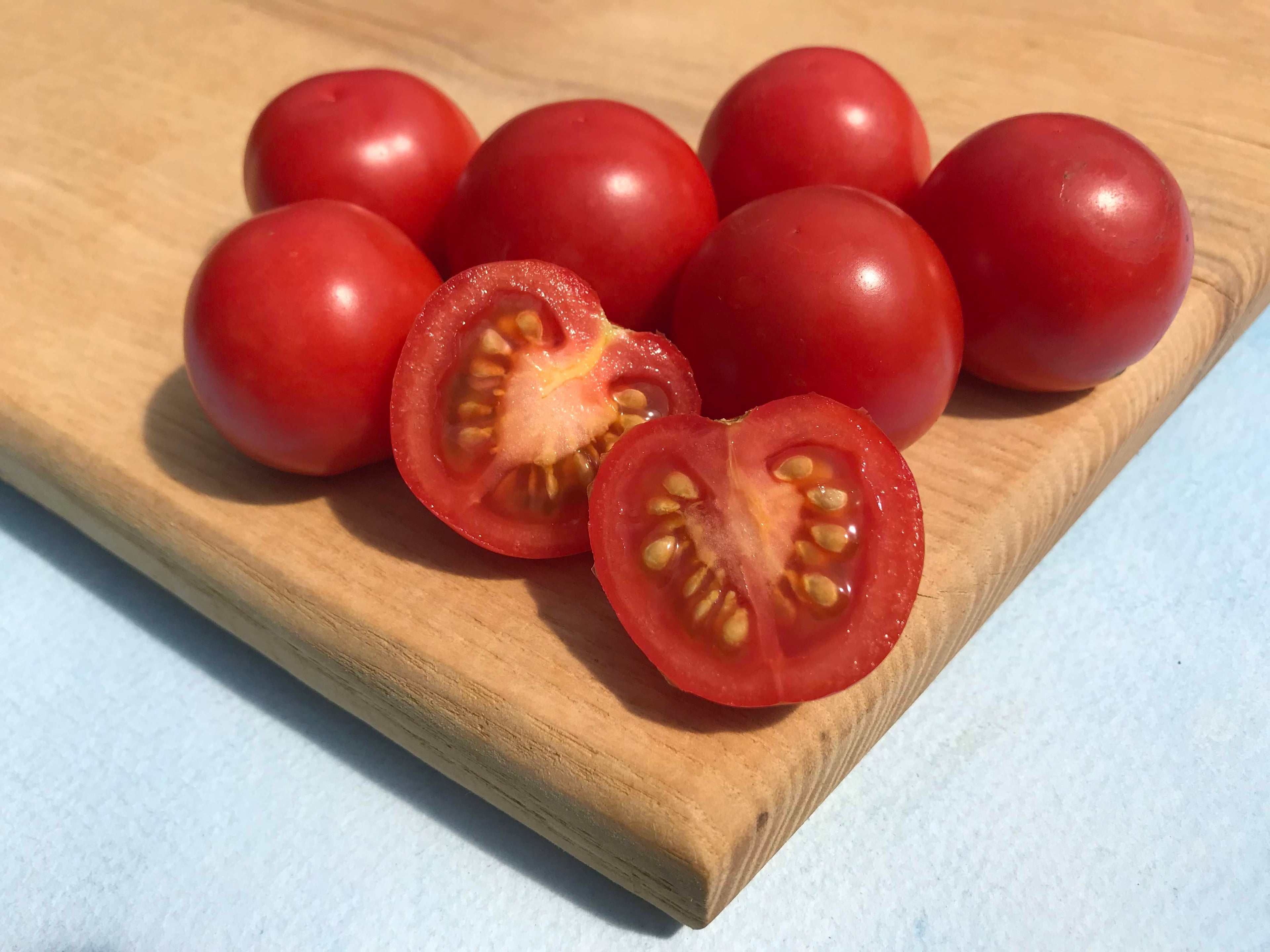 Fox Cherry Tomato Seedlings