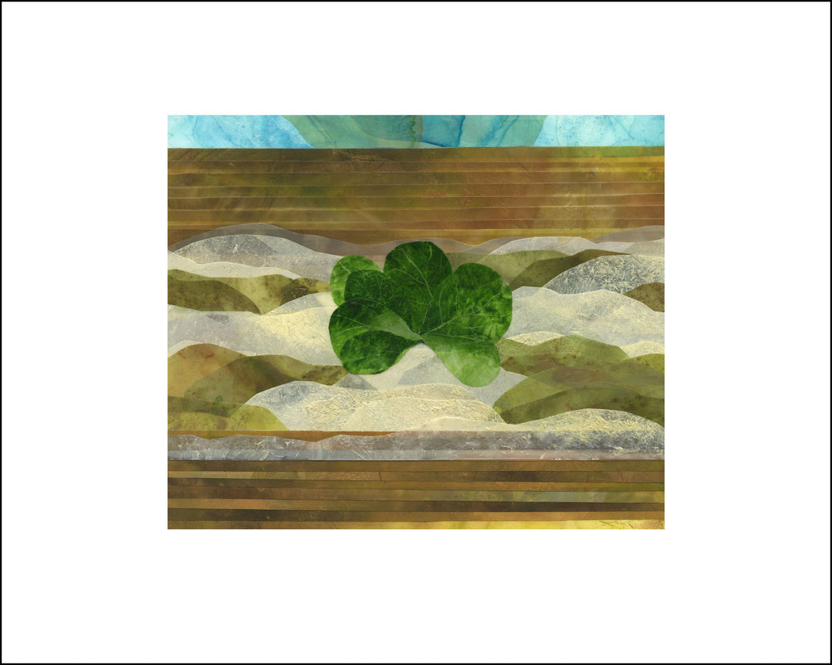 Fine art print of Mache by Hudson Valley Seed Co., signed and framed, showcasing intricate botanical illustrations.