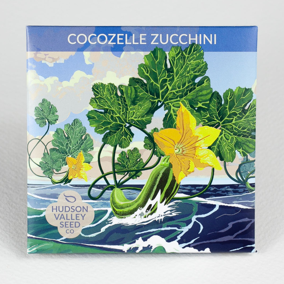 Organic Cocozelle Zucchini seedlings from Hudson Valley Seed Co., showing vibrant green zucchini plants ready to grow.