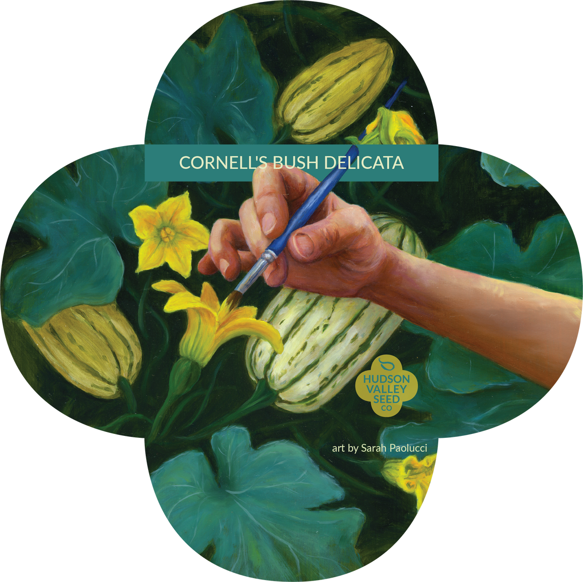 Hudson Valley Seed Co. Cornell&