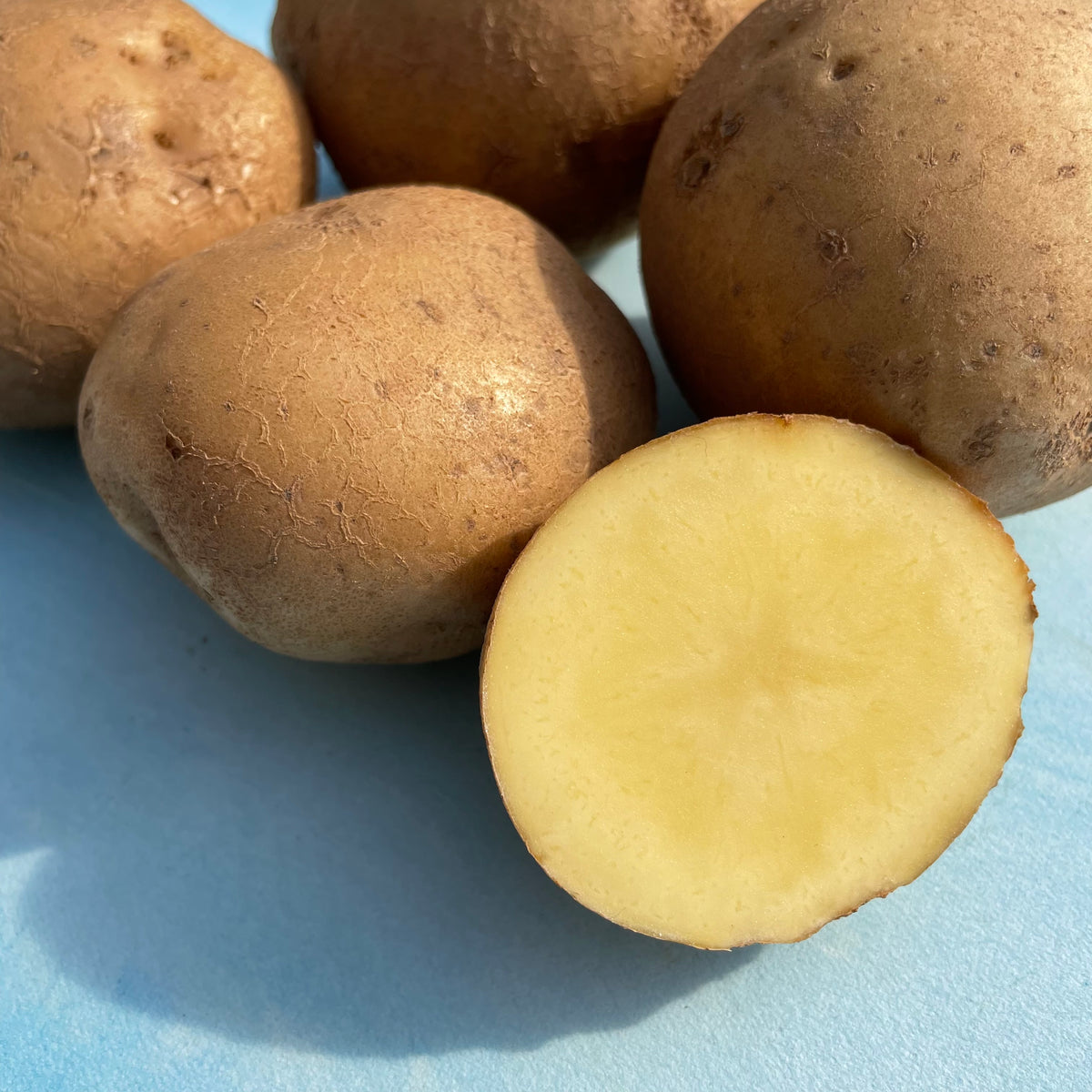 Past, Present, and Potatoes