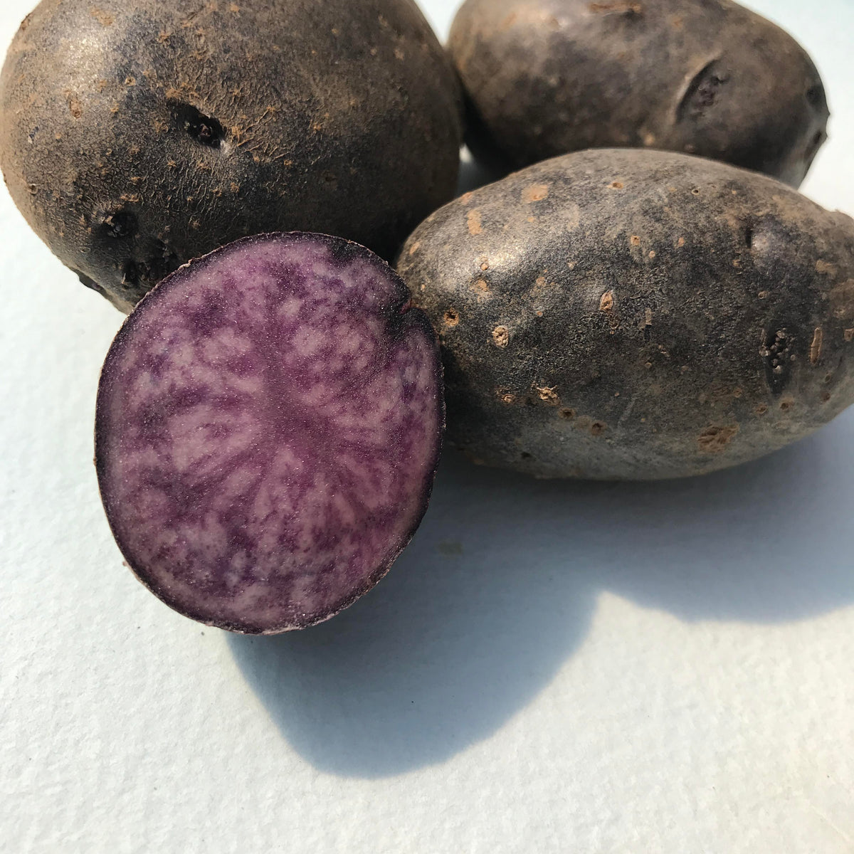 Storing Fall Harvests