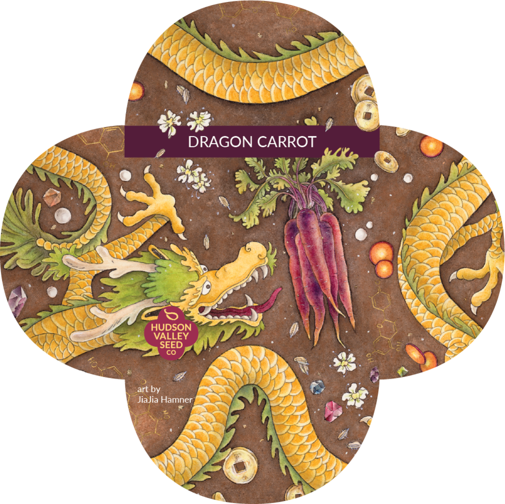 Meet The Artist: Dragon Carrot