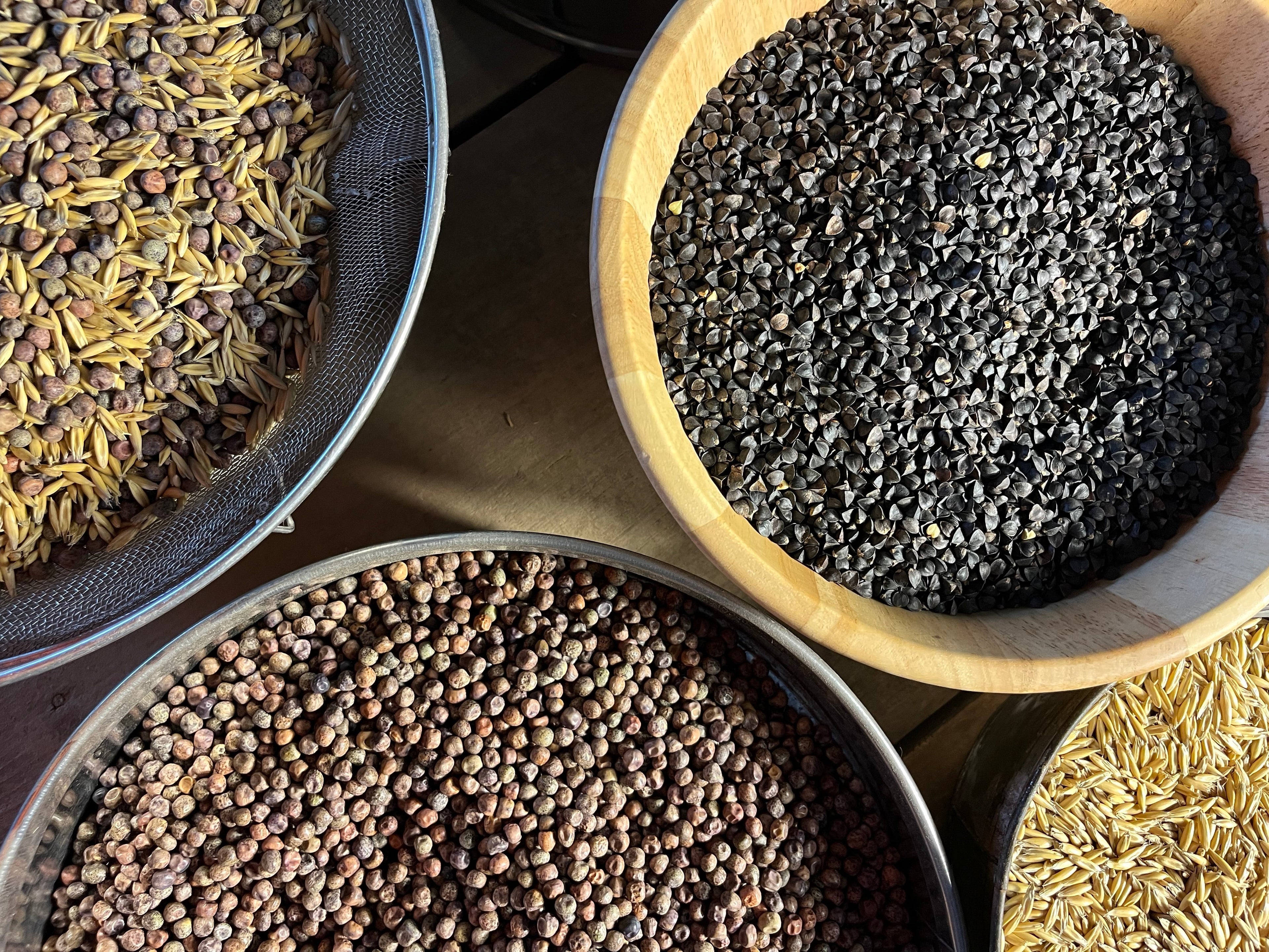 Seeds