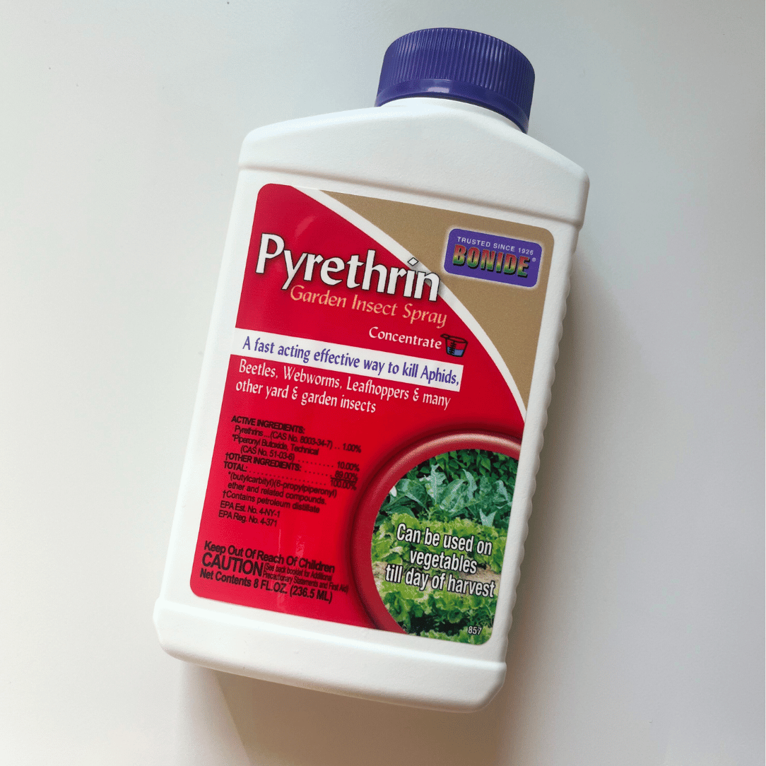 Down To Earth Bonide Pyrethrin 8 oz concentrate for pest control, shown in a clear container with label details.