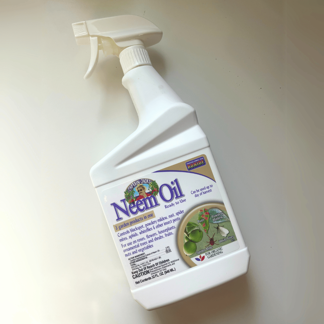 Down To Earth Bonide Neem Oil quart bottle, natural pest control product, with label and cap visible.