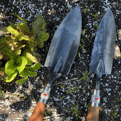 Piginor Large Trowel