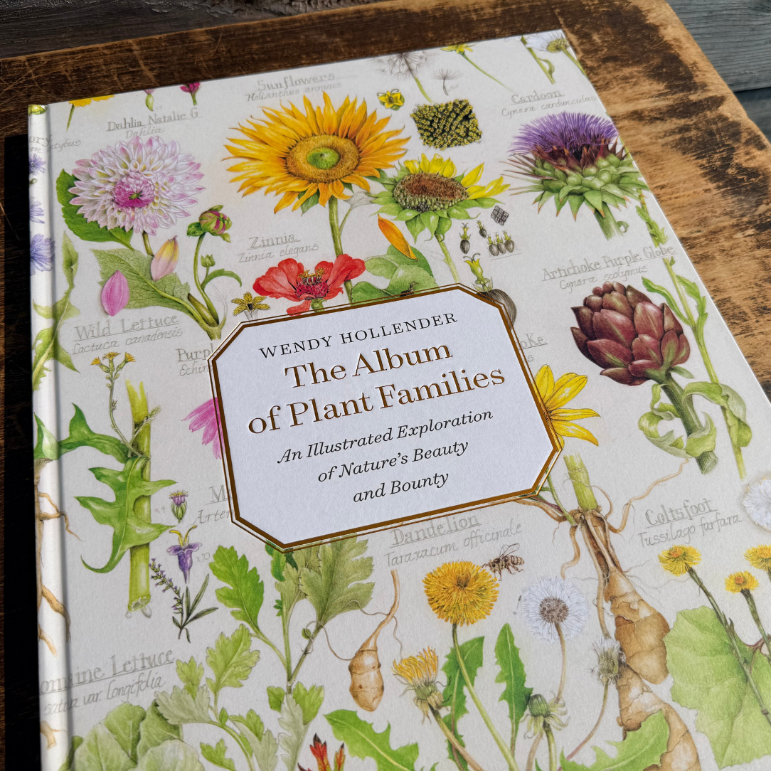 Open botanical album showcasing plant family illustrations from Botanical Arts Press LLC, ideal for plant enthusiasts and collectors.