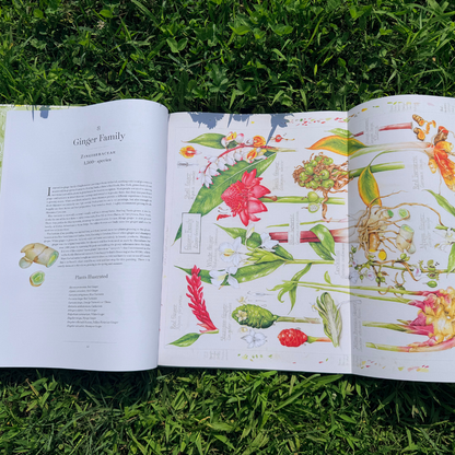 Open botanical album showcasing plant family illustrations from The Album of Plant Families by Botanical Arts Press LLC.
