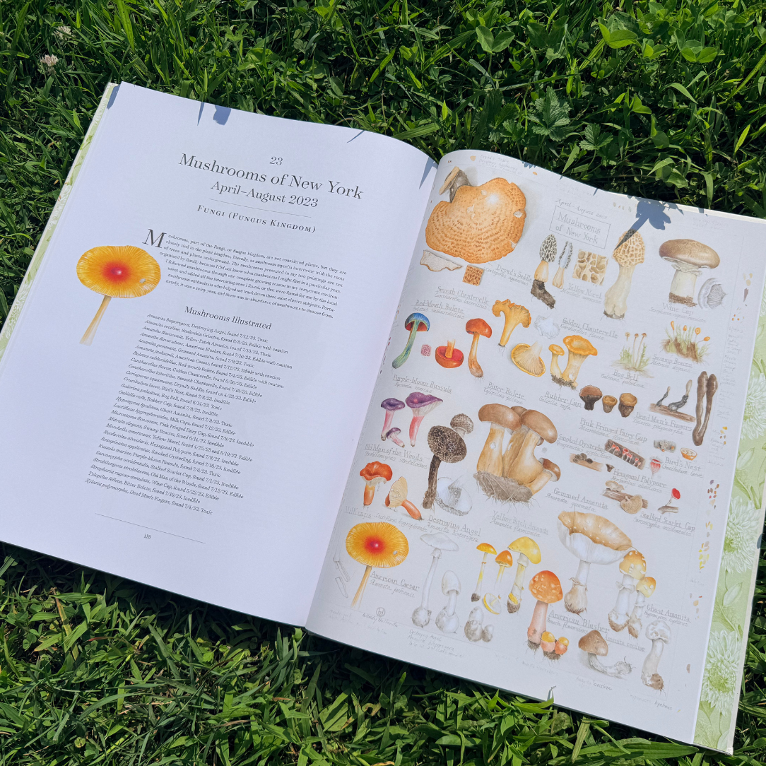 Open botanical album of plant families featuring detailed illustrations and labels, published by Botanical Arts Press LLC.